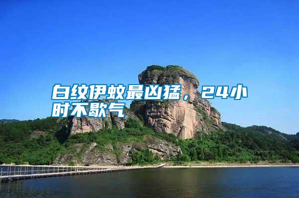 白紋伊蚊最兇猛，24小時(shí)不歇?dú)?/></p>
             <p style=