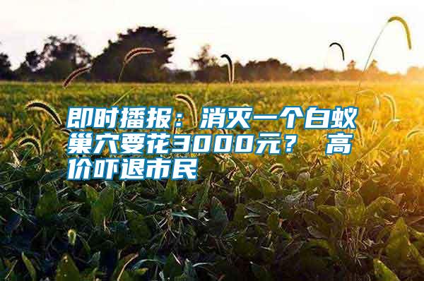 即時播報：消滅一個白蟻巢穴要花3000元？ 高價嚇退市民