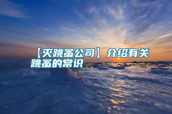【滅跳蚤公司】介紹有關(guān)跳蚤的常識