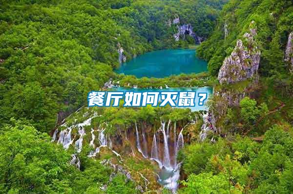 餐廳如何滅鼠？