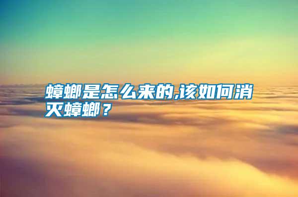 蟑螂是怎么來的,該如何消滅蟑螂？