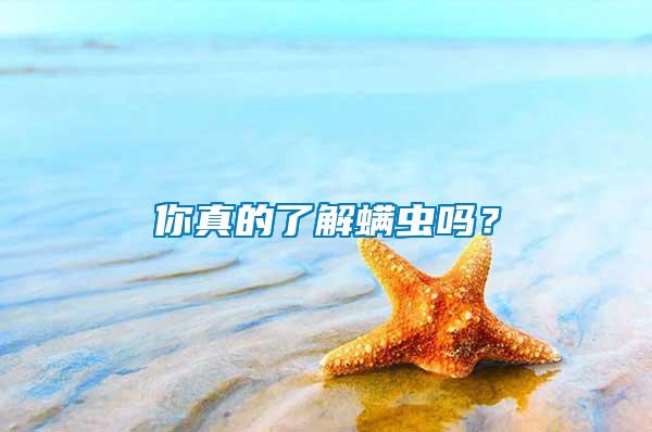 你真的了解螨蟲嗎？