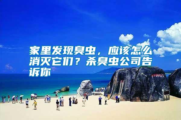 家里發(fā)現(xiàn)臭蟲，應(yīng)該怎么消滅它們？殺臭蟲公司告訴你