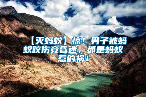 【滅螞蟻】驚！男子被螞蟻咬傷竟昏迷，都是螞蟻惹的禍！