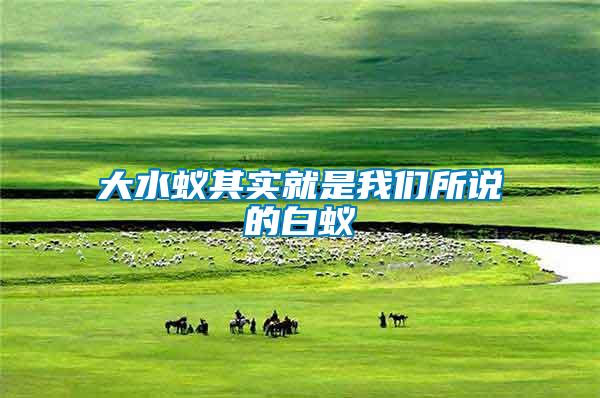 大水蟻其實(shí)就是我們所說的白蟻