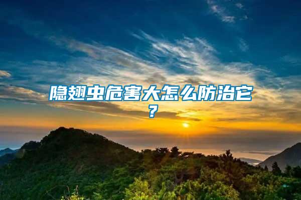 隱翅蟲(chóng)危害大怎么防治它？