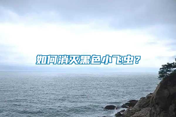 如何消滅黑色小飛蟲(chóng)？