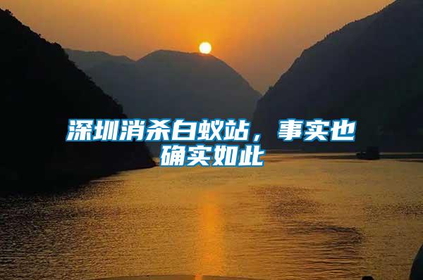 深圳消殺白蟻站，事實(shí)也確實(shí)如此