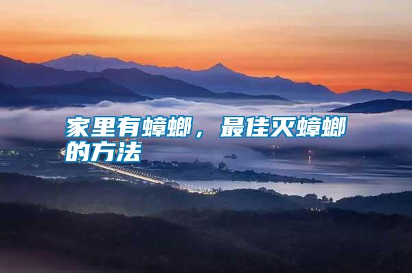 家里有蟑螂，最佳滅蟑螂的方法