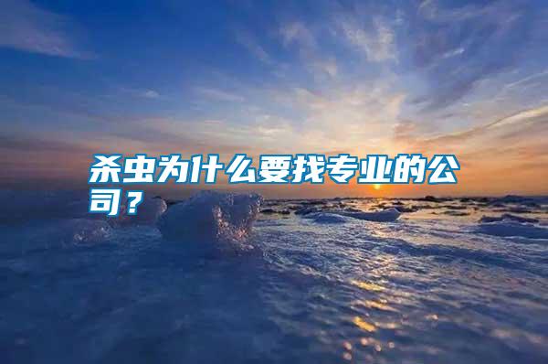 殺蟲為什么要找專業(yè)的公司？