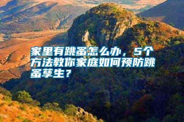 家里有跳蚤怎么辦，5個方法教你家庭如何預防跳蚤孳生？