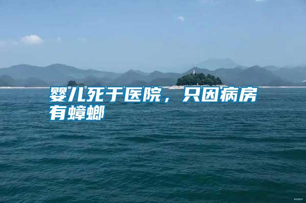 嬰兒死于醫(yī)院，只因病房有蟑螂