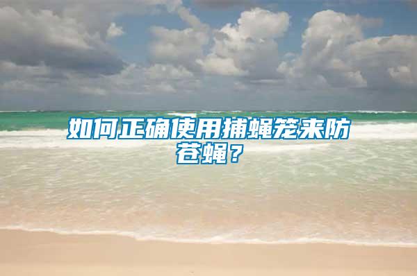 如何正確使用捕蠅籠來防蒼蠅？
