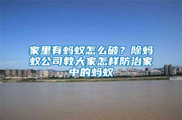 家里有螞蟻怎么破？除螞蟻公司教大家怎樣防治家中的螞蟻