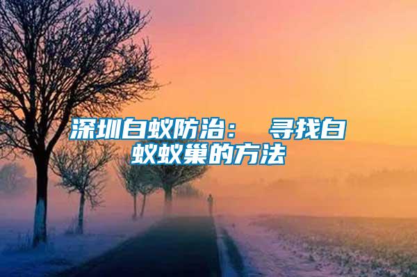 深圳白蟻防治: 尋找白蟻蟻巢的方法