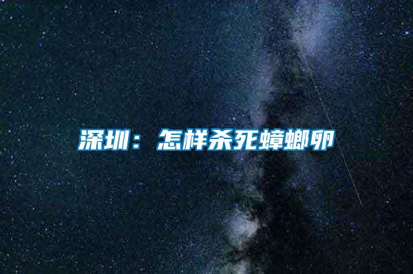 深圳:怎樣殺死蟑螂卵