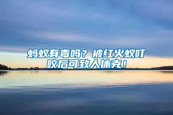 螞蟻有毒嗎？被紅火蟻叮咬后可致人休克！