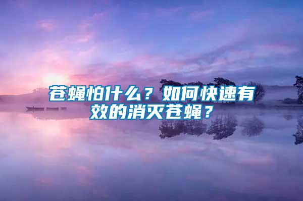 蒼蠅怕什么？如何快速有效的消滅蒼蠅？