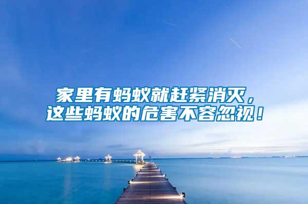 家里有螞蟻就趕緊消滅，這些螞蟻的危害不容忽視！