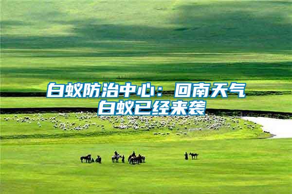 白蟻防治中心:回南天氣 白蟻已經(jīng)來(lái)襲