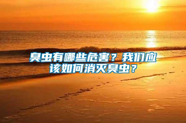 臭蟲有哪些危害？我們應(yīng)該如何消滅臭蟲？
