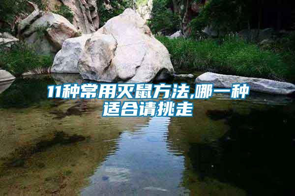 11種常用滅鼠方法,哪一種適合請(qǐng)?zhí)糇?/></p>
             <p style=