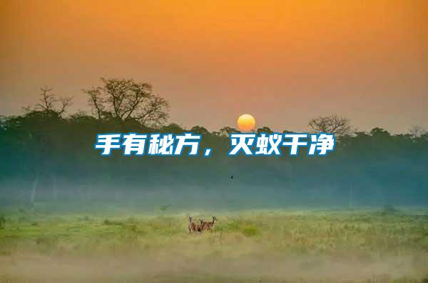 手有秘方，滅蟻干凈