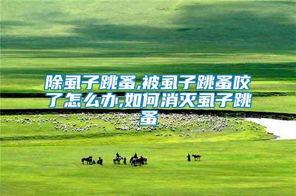 除虱子跳蚤,被虱子跳蚤咬了怎么辦,如何消滅虱子跳蚤