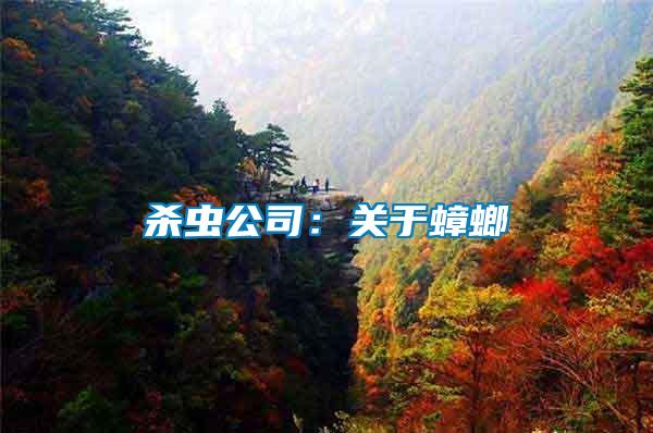 殺蟲公司:關(guān)于蟑螂