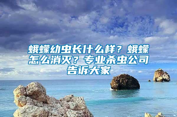 蛾蠓幼蟲長(zhǎng)什么樣？蛾蠓怎么消滅？專業(yè)殺蟲公司告訴大家