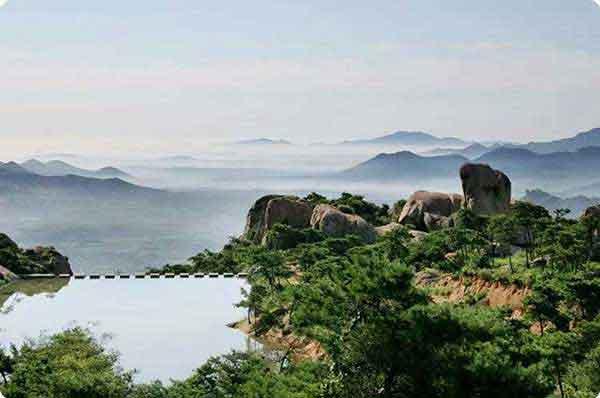 家里有跳蚤怎么辦？消殺公司教大家跳蚤怎么消滅