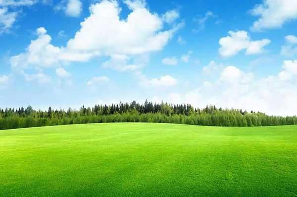 【殺蟲公司】如何滅蟑螂？介紹關(guān)于蟑螂的那些事兒！