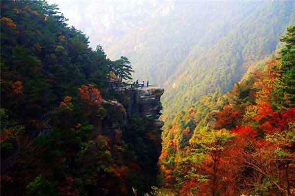 簡(jiǎn)述深圳滅跳蚤的常用方法！