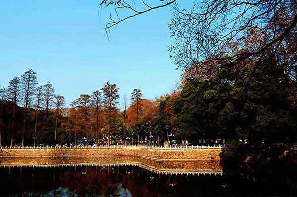 格林盈璐深度剖析，與蚊子正面交鋒滅蚊燈是否有效