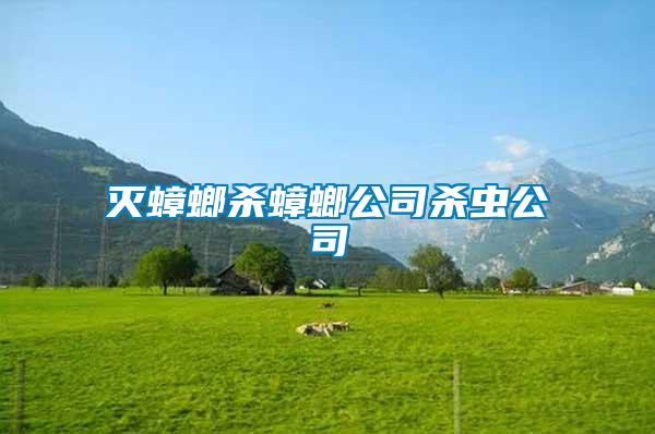 滅蟑螂殺蟑螂公司殺蟲公司