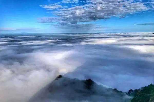 危害：“新四害”之首，已成為多種疾病的產(chǎn)生和傳播根源