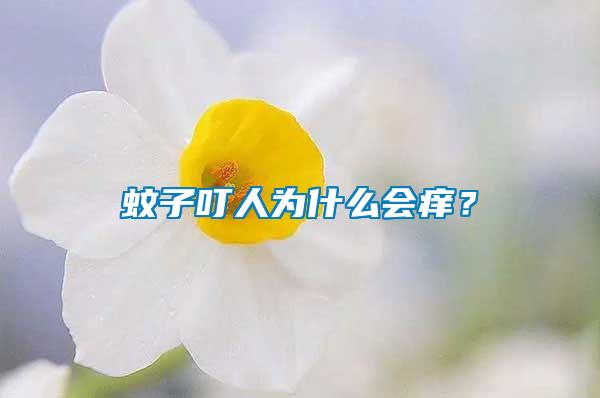 蚊子叮人為什么會(huì)癢？