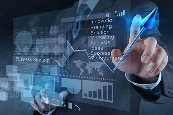 深圳殺蟲公司介紹:黃胸鼠