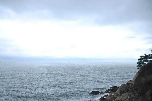 深圳殺蟲(chóng)公司介紹夏季怎樣防治蟑螂