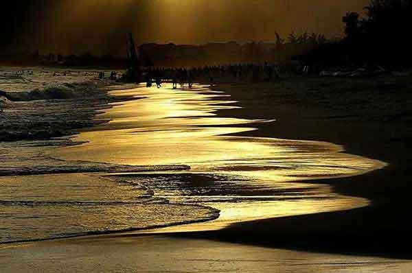 滅蟲(chóng)公司，大家都需要