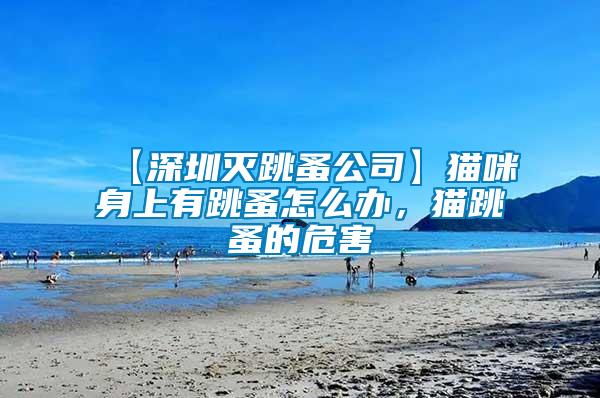 【深圳滅跳蚤公司】貓咪身上有跳蚤怎么辦，貓?zhí)榈奈：?/></p>
             <p style=