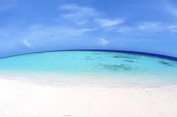 專業(yè)滅螞蟻，螞蟻的危害不容忽視