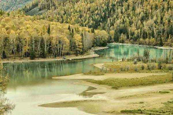 深圳哪里有殺白蟻，白蟻和蜜蜂、螞蟻一樣，有著明確的社會(huì)結(jié)構(gòu)