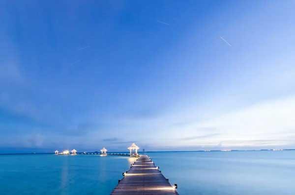 速覽臭蟲的生理習(xí)性、危害及防制方法！