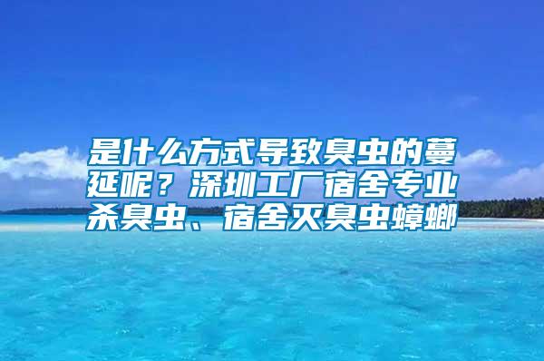 是什么方式導(dǎo)致臭蟲(chóng)的蔓延呢？深圳工廠宿舍專(zhuān)業(yè)殺臭蟲(chóng)、宿舍滅臭蟲(chóng)蟑螂