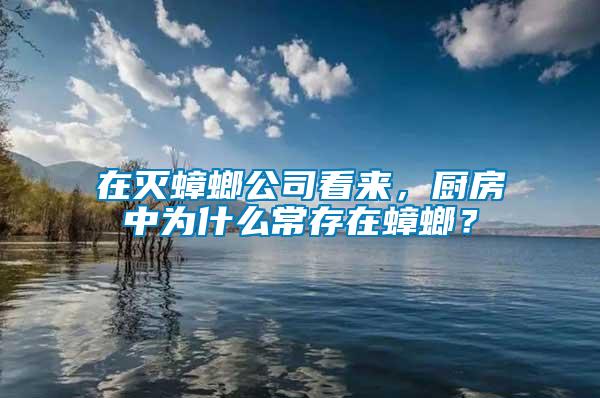 在滅蟑螂公司看來(lái)，廚房中為什么常存在蟑螂？