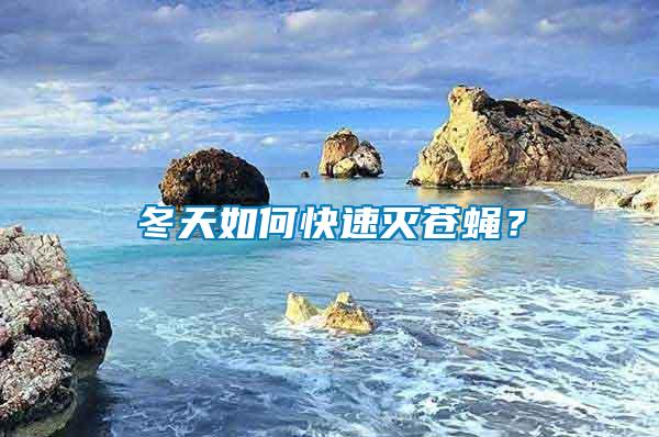 冬天如何快速滅蒼蠅？