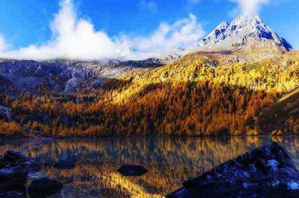 【深圳消殺公司】傳說中的“寨卡”病毒離我們究竟有多遠(yuǎn)？