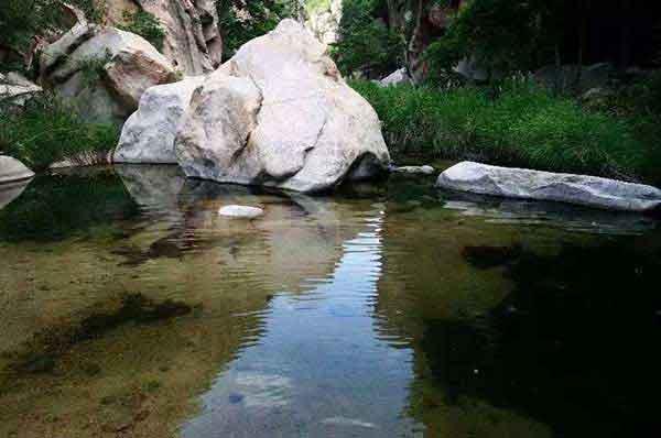 滅蟲(chóng)公司，大家都需要