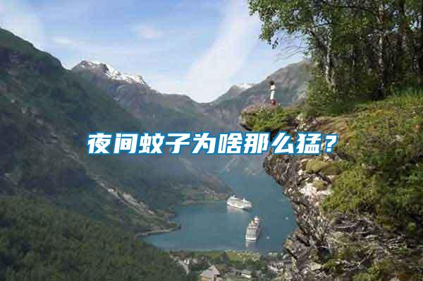 夜間蚊子為啥那么猛？